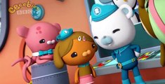 The Octonauts S1, 2, 3 Season 03 E003 - The Cone Snails