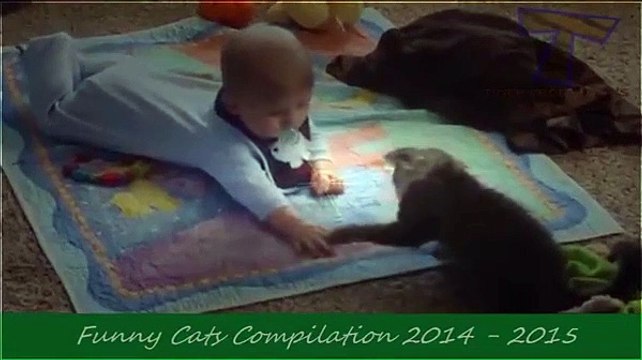 Funny Videos - Funny Cats - Funny Pranks - Funny Animals Videos - Funny Dogs 2015