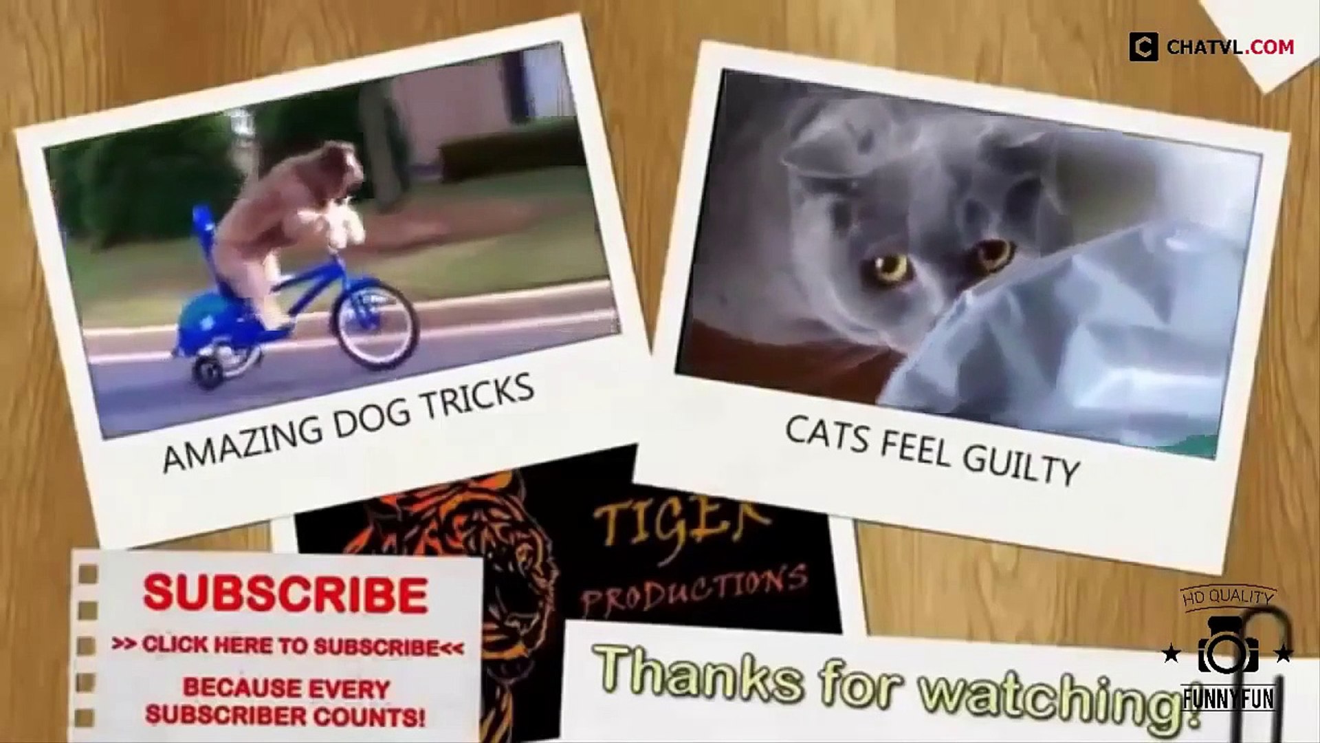 ⁣Funny Videos   Funny Animal   Best Funny Animals compilation 2015   funny pets   funny pets videos
