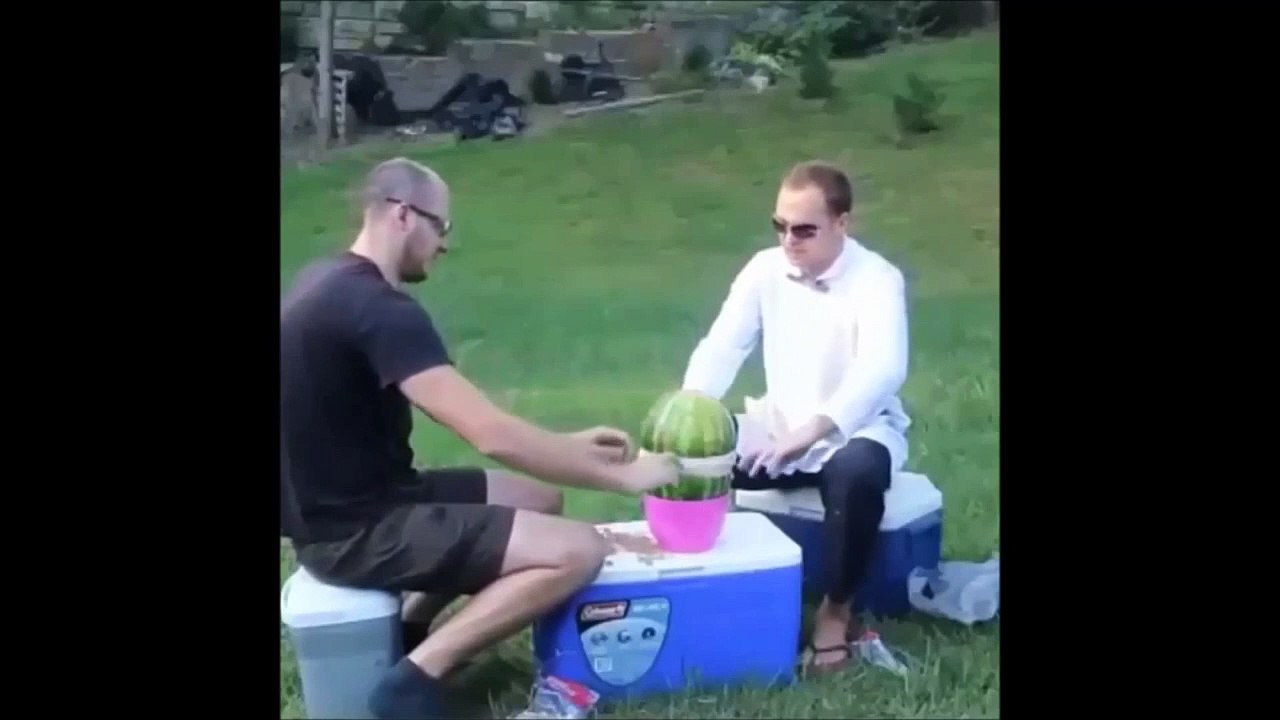 Funny Videos 2015   Fail Video    Funny animals   Funny Pranks   Funny vines #12    Best Fails