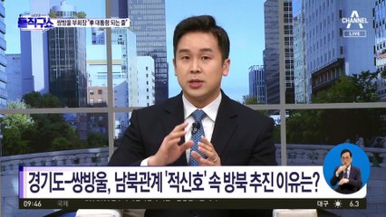 경기도-쌍방울, 남북관계 ‘적신호’ 속 방북 추진 이유는?
