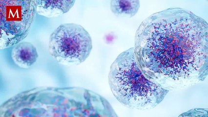 Crean medicamento que podría frenar varios tipos de cáncer