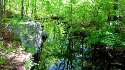 Beautiful landscapes with relaxing meditation music