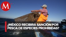 Son pocas las especies de pesca comercial mexicana que serán sancionadas: Alfonso Rosiñol