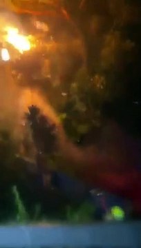 Fire caused by fallen tree branch on power line in Shellharbour - Illawarra Mercury - March 2023