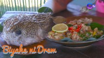 Putaheng gawa sa ‘porcupine fish,’ tinikman ni Biyahero Drew! | Biyahe ni Drew