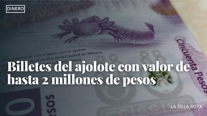 Billetes del ajolote con valor de hasta 2 millones de pesos