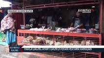 Harga Daging Ayam Turun Di Pekan Pertama Ramadan