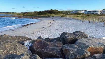 Join citizen scientists by snapping a photo of Shellharbour coast
