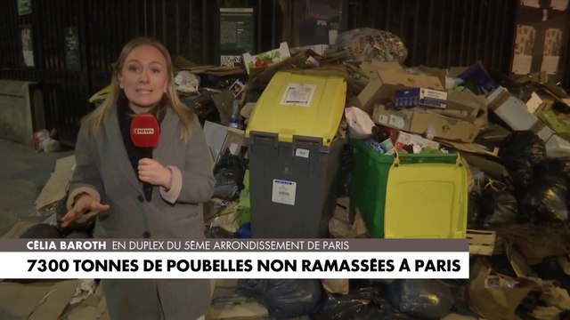 Grève des éboueurs : 7.300 tonnes de poubelles non-ramassées