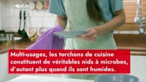 Le torchon, un nid à microbes : les bons gestes à adopter