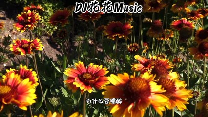 Love is not so beautiful (dj,dj Wang Yilong)-Zhang Zhenyu.