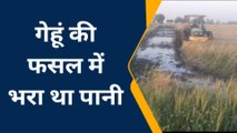 पीलीभीत: किसान ने कई एकड़ गेहूं की फसल को ट्रैक्टर चलाकर किया नष्ट, जानिए क्यों