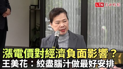 漲電價會影響經濟？王美花：努力規劃應對策略 ⚡