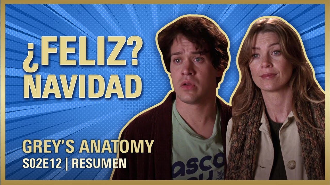 Grey's Anatomy 2x12 | NAVIDAD en el SEATTLE GRACE | RESUMEN Temporada 2