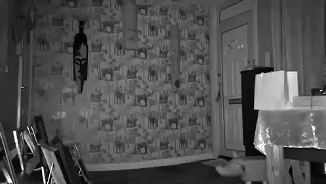 CCTV captures shocking footage of car crashing into Wisbech house