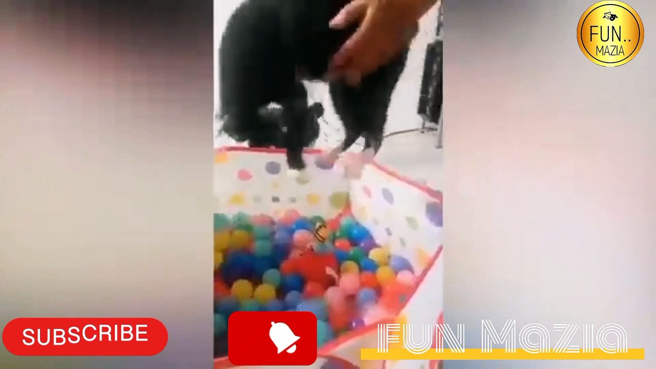 Funny Animals fails !  28 march  2023 ! Most funny animals compilations