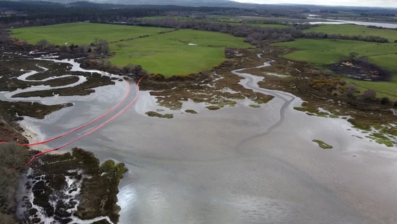 Drone footage shows scale of Dorset oil spill after more than 1,000 gallons leaks from pipeline