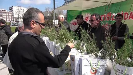 Elazığ'da vatandaşlara 6 bin adet ücretsiz fidan dağıtıldı