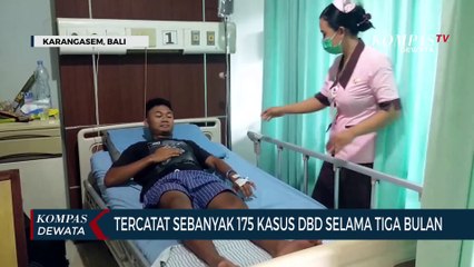 DBD Di Karangasem Capai Ratusan Kasus