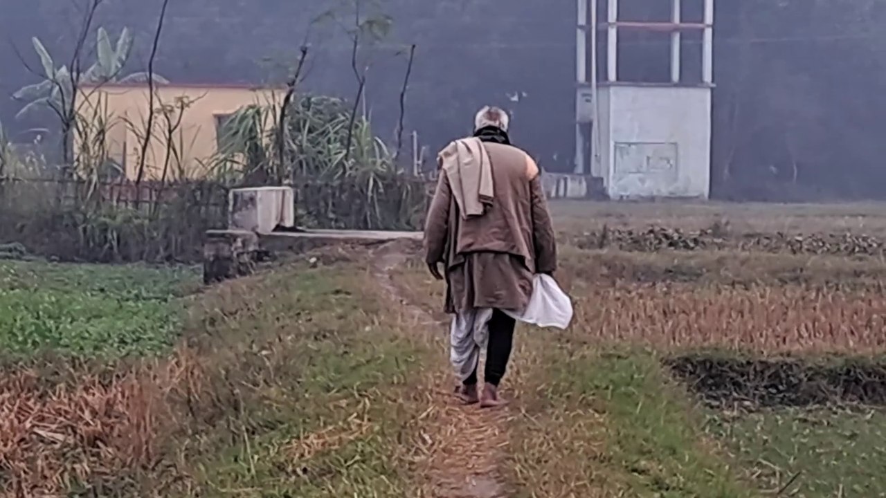 An Indian villager walking along a path amidst harvested crop field