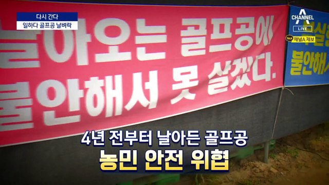 [다시 간다]머리 위로 ‘골프공’ 날아다니는 마을