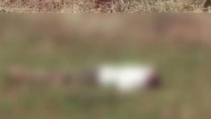 దారుణ హత్య.. గొడ్డళ్లతో నరికి తల, మొండెం వేరువేరు..!