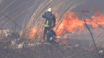 Antalya'da sazlık alanda yangın güçlükle söndürüldü
