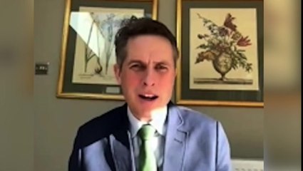 Gavin Williamson rejects job offer from fake Korean company in Led By Donkeys sting