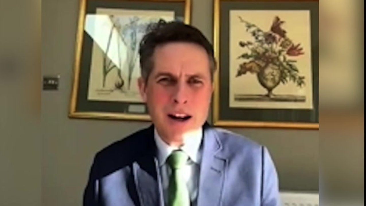 Gavin Williamson rejects job offer from fake Korean company in Led By Donkeys sting