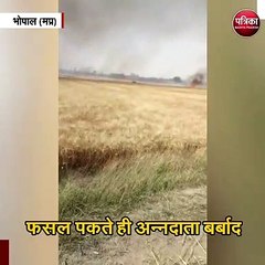 गेहूं के खेत में लगी भीषण आग