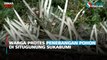 Warga Protes Penebangan Pohon di Situgunung Sukabumi
