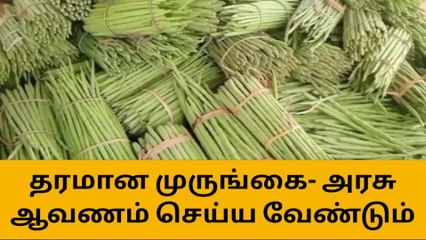 அரவக்குறிச்சி: தரமான முருங்கைக்கு புவிசார் குறியீடு வழங்க கோரிக்கை!