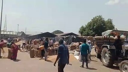 Farmers' hopes are shattered