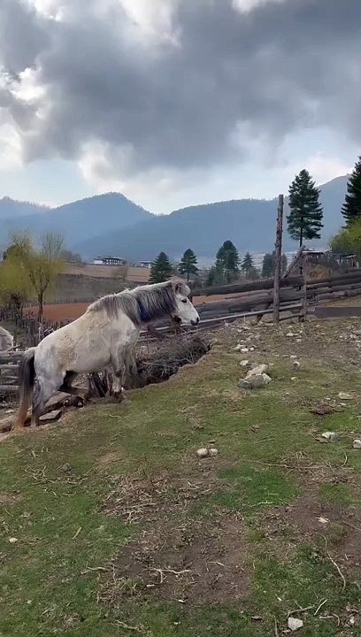 Tatiana Silva est émerveillée par la nature