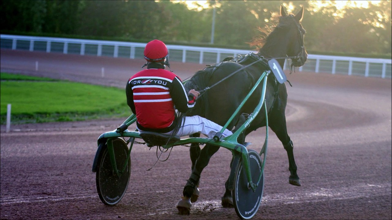 Pronostic de Fréquence Turf pour le Quinté PMU du mercredi 29 mars 2023 (Réunion n°1 - Course n°1)