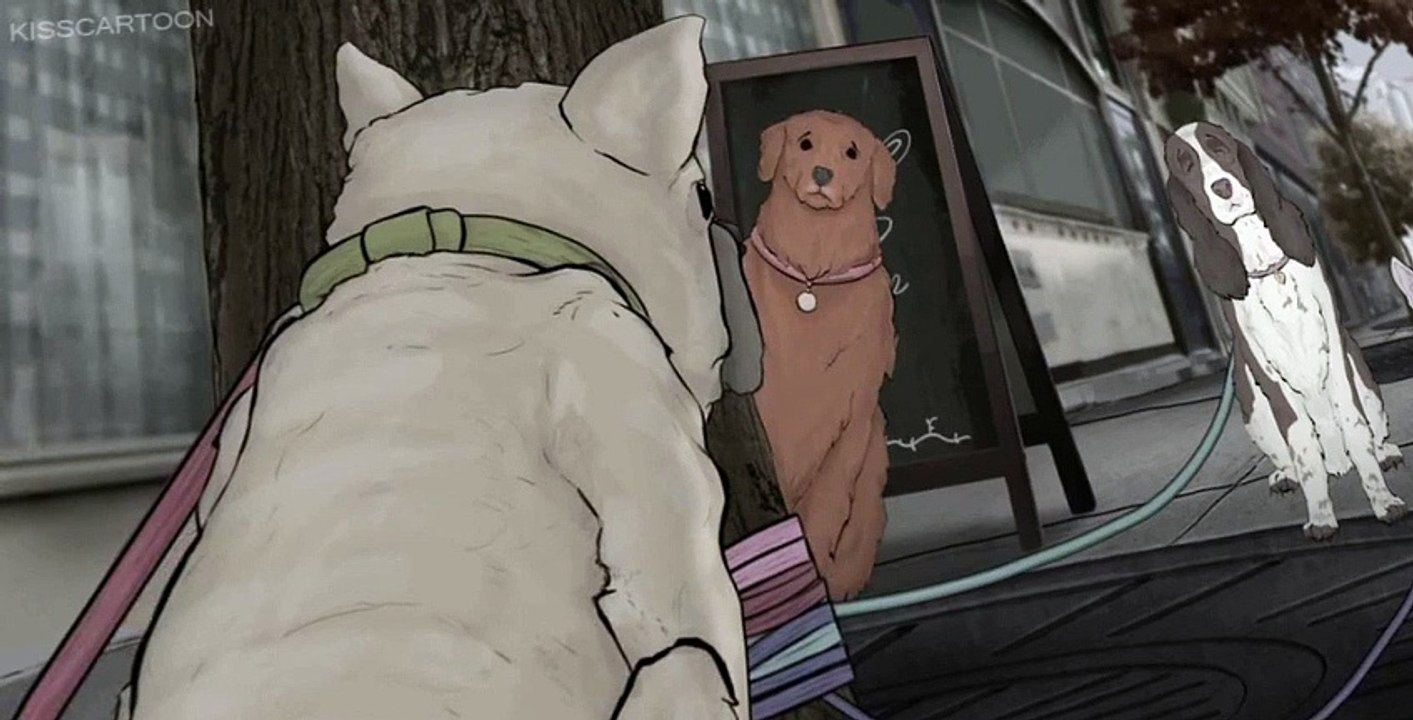 Animals. E004