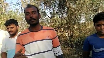 अजब गांव की गजब दास्तां, ट्रैक्टर से फसल लाने बनाई सड़क