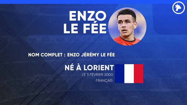 La fiche technique d'Enzo Le Fée