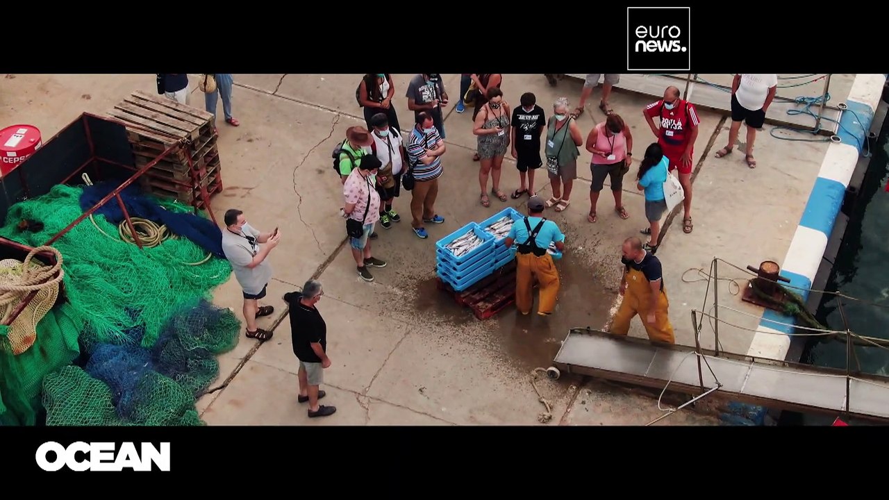 Die Heilkraft der Meere: eine gefährdete Apotheke