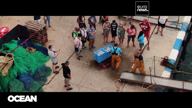 O mar e a saúde humana: Riscos e benefícios