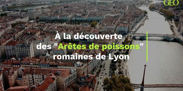 À la découverte des Arêtes de poissons romaines de Lyon