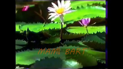 KANAL 7 NİSAN 1999 REKLAM KUŞAKLARI