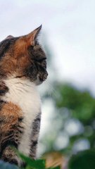 Quote Morgan Freeman - Jangan bergaul dengan orang TOXIC