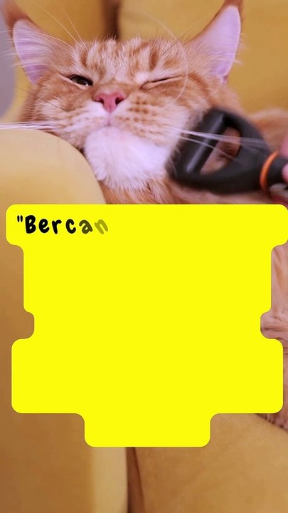 Quote - Bercanda tetap harus tahu bacaannya!