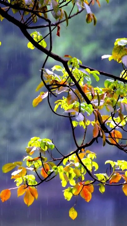 Quote - Andaikan Kenangan Buruk bisa Dihapus!