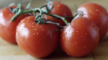 How to Fertilize Tomatoes for a Big Harvest
