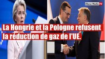 Pénurie de gaz naturel : La Hongrie et la Pologne tournent le dos à l`UE.