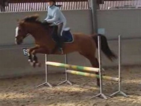 Séance d'obstacle sur oxer...