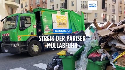 Müllabfuhr-Streik in Paris: Ratten bisher kein Gesundheitsrisiko